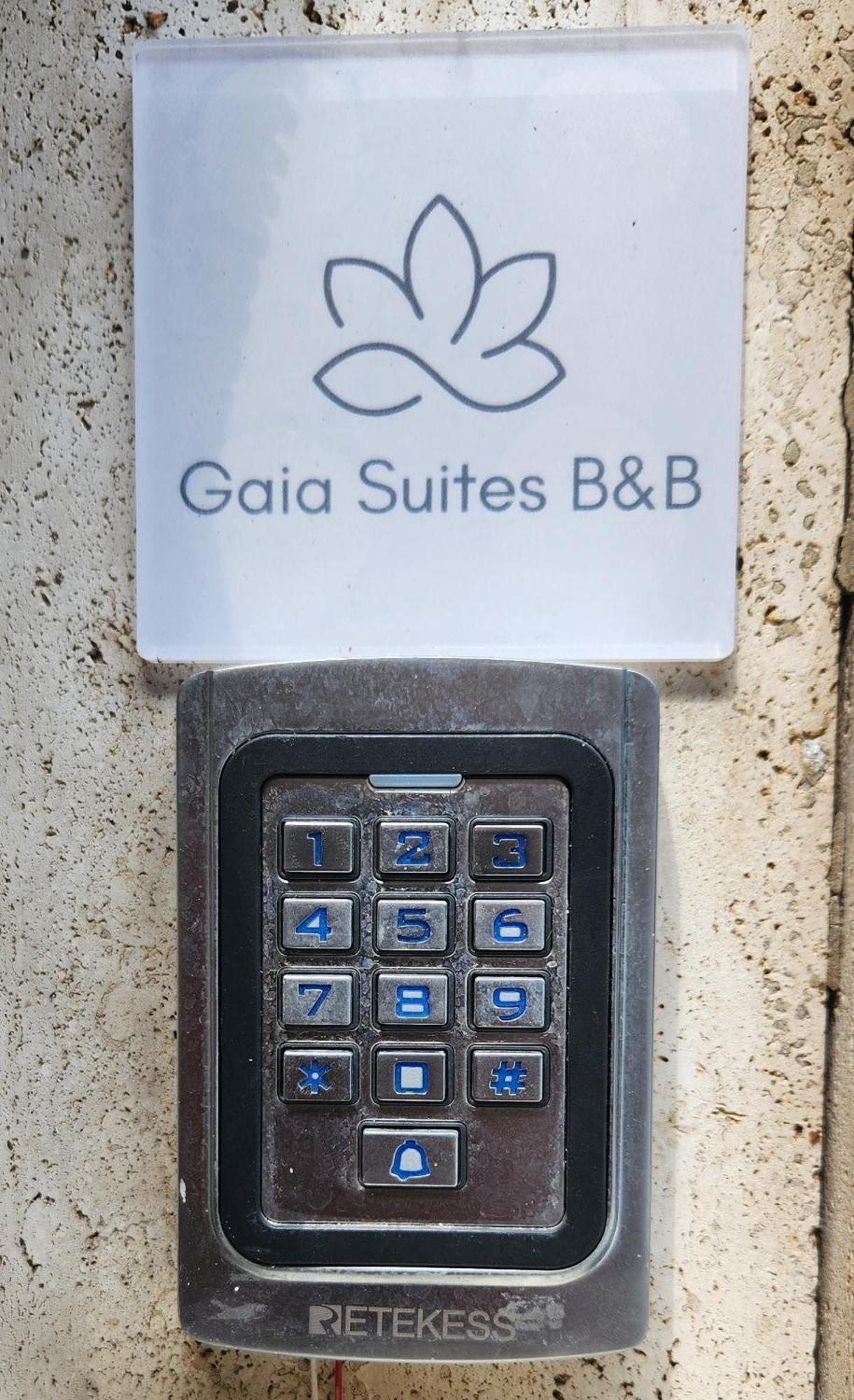 Gaia Suites - A Due Passi Dal Centro - Parcheggio Privato Torino Eksteriør billede
